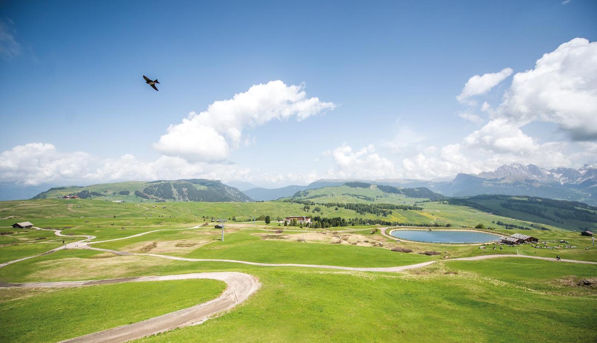 Hotel Goldknopf Alpe Di Siusi Kültér fotó